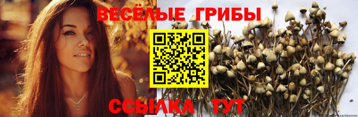 Галлюциногенные грибы прущие грибы  Вход с VPN  Старая Русса 